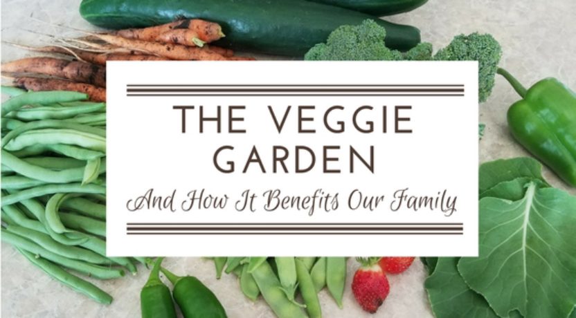 The Veggie Garden: Benefits Beyond Healthy Eating