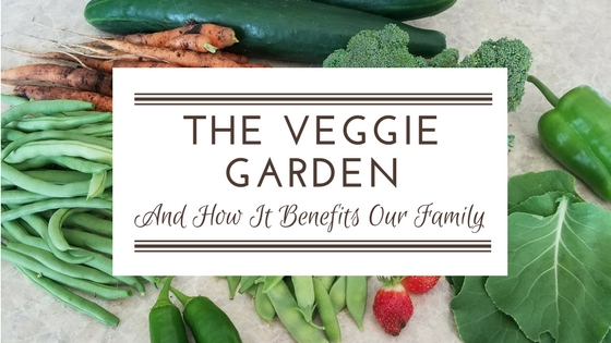 The Veggie Garden: Benefits Beyond Healthy Eating